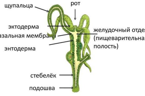 Блэкспрут рабочее зеркало blacksprut adress com